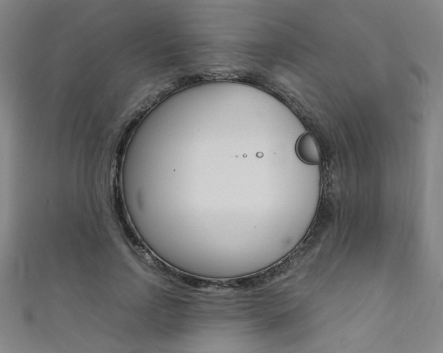 X0000111350742200907100934