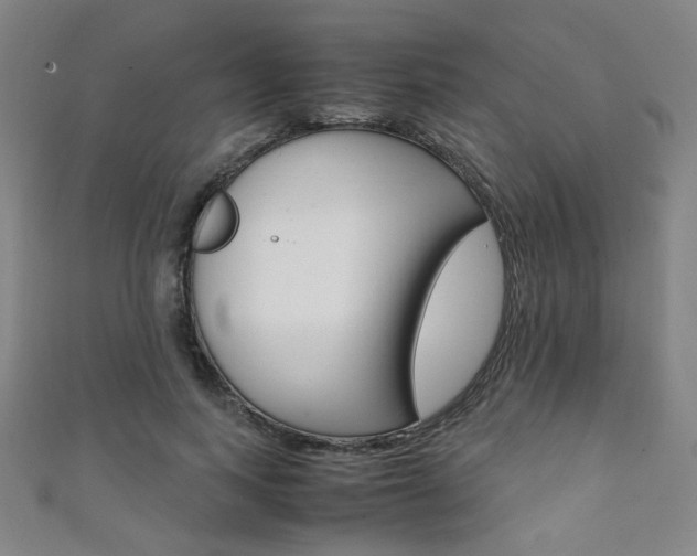 X0000111350743200907100934