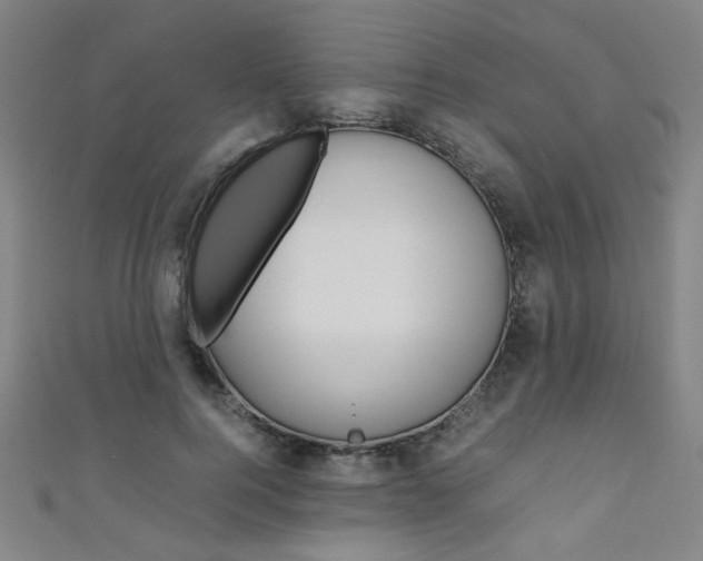 X0000111350744200907100934