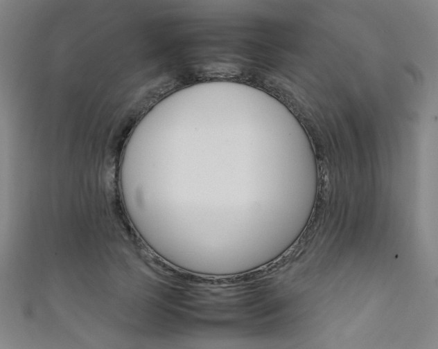 X0000111350745200907100934