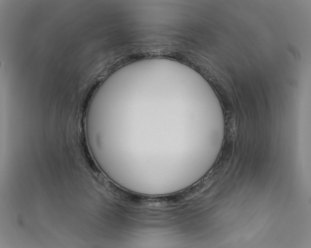 X0000111350746200907100934