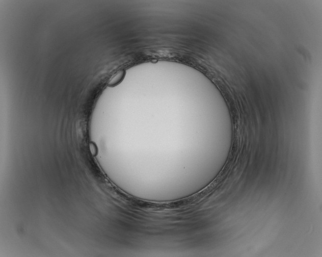 X0000111350747200907100934