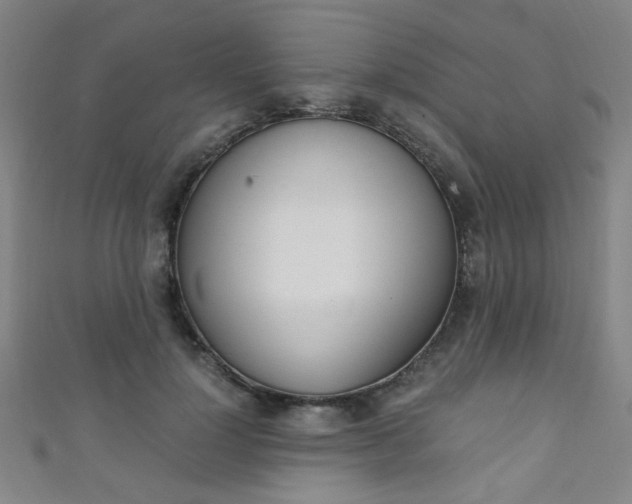 X0000111350748200907100935