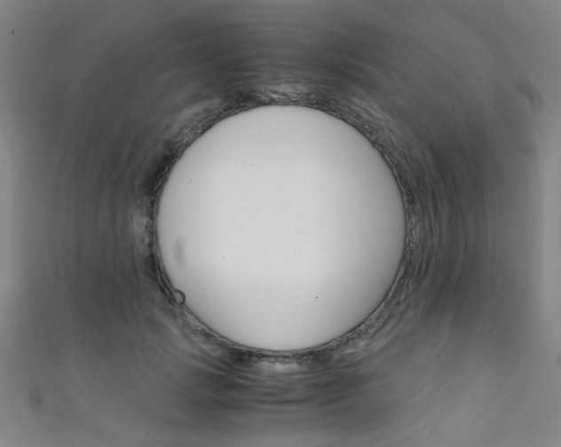 X0000111350749200907100935