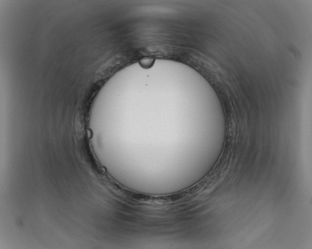X0000111350751200907100935