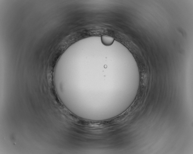 X0000111350753200907100935