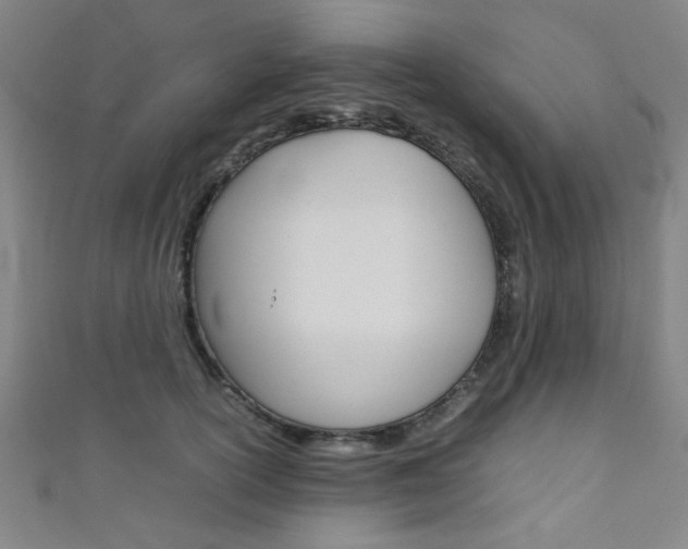 X0000111350754200907100935