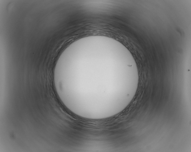 X0000111350756200907100935