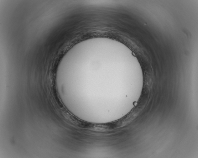 X0000111350758200907100935