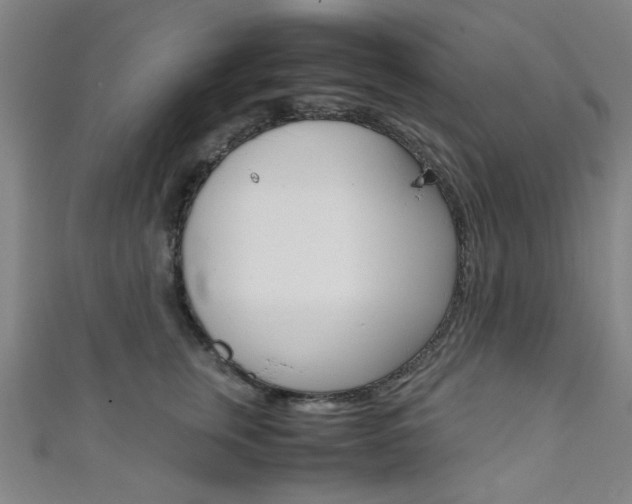 X0000111350759200907100935