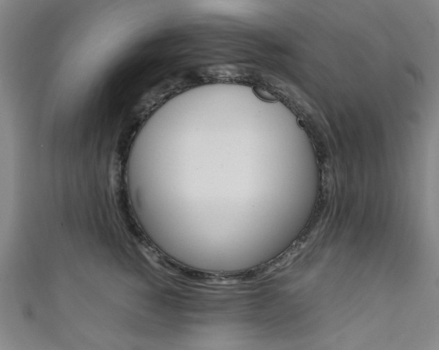 X0000111350760200907100935