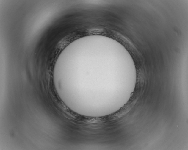 X0000111350761200907100935