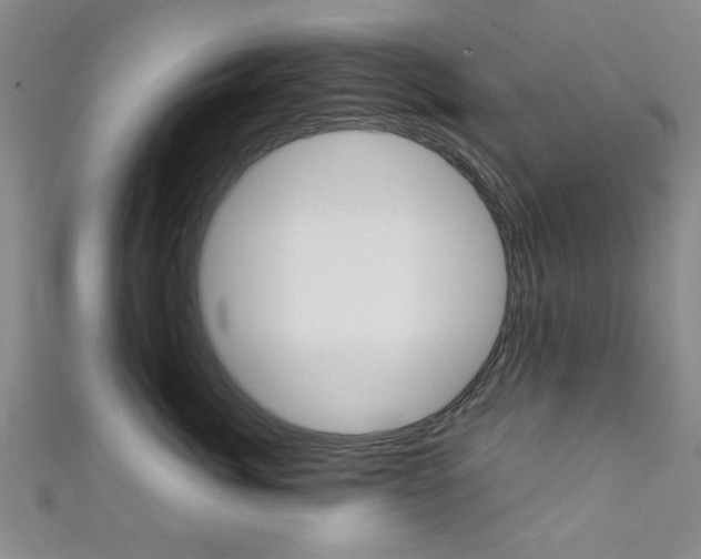 X0000111350764200907100935