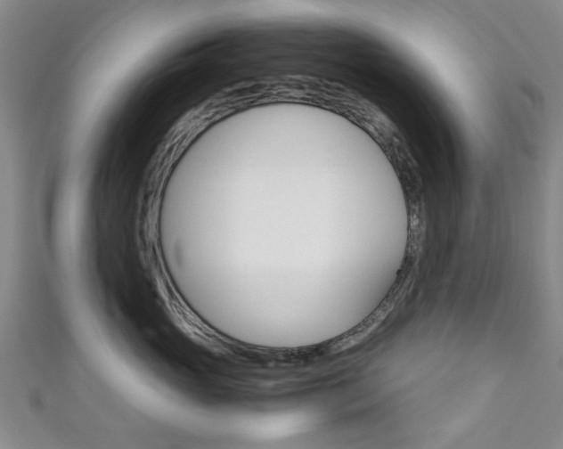 X0000111350765200907100935