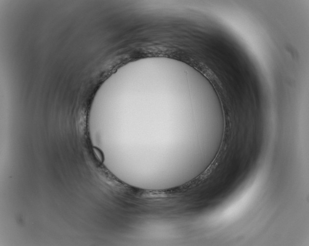 X0000111350767200907100935
