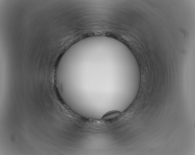 X0000111350768200907100935