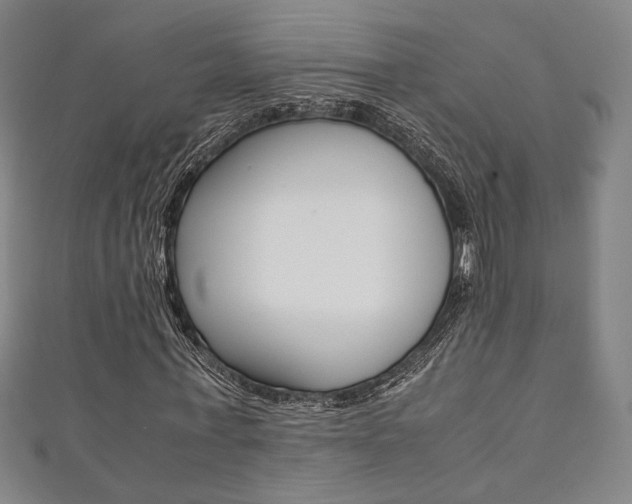 X0000111350771200907100934