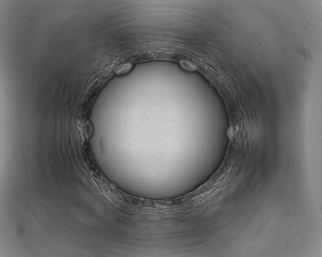 X0000111350772200907100934