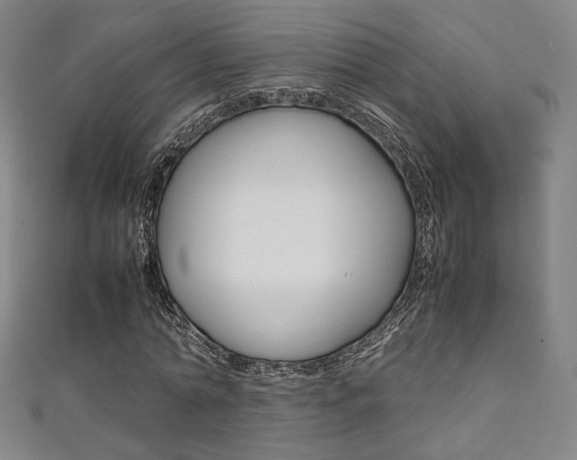 X0000111350774200907100934