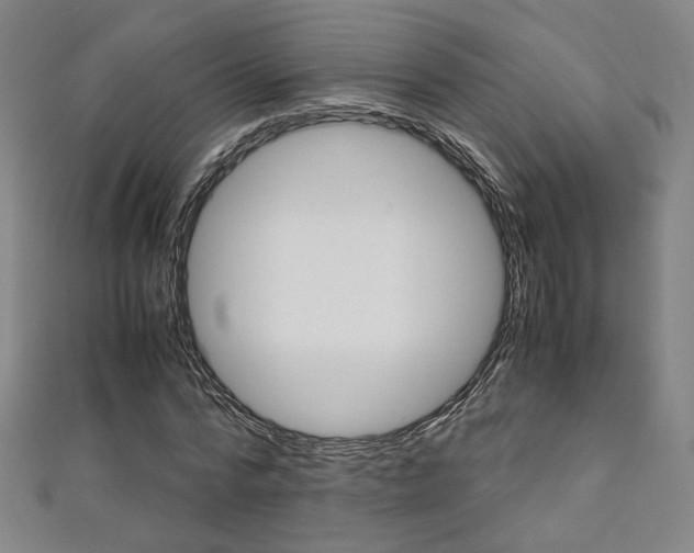 X0000111350776200907100934