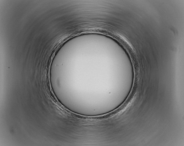 X0000111350777200907100934