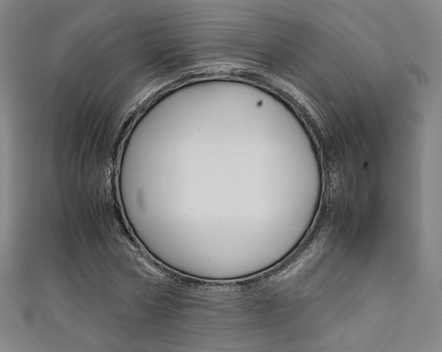X0000111350778200907100934