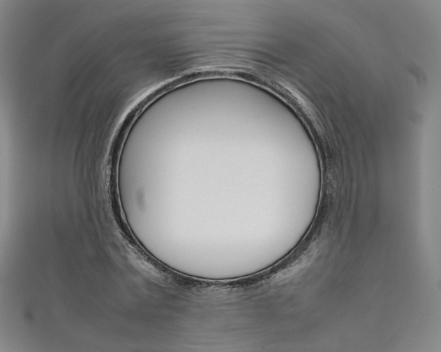 X0000111350779200907100934