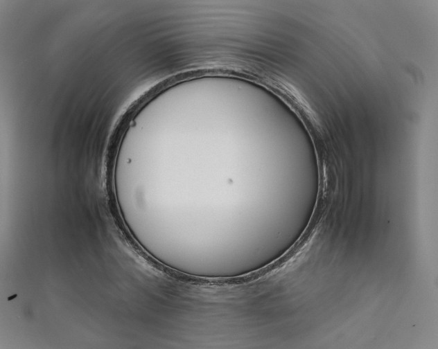 X0000111350780200907100934