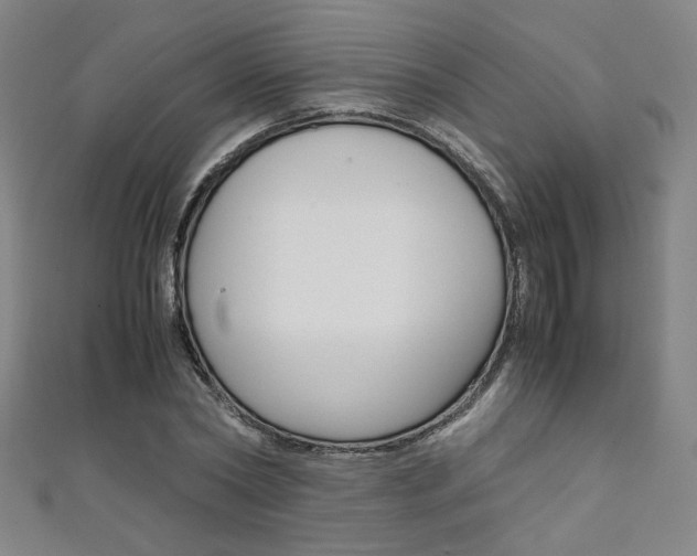 X0000111350782200907100934