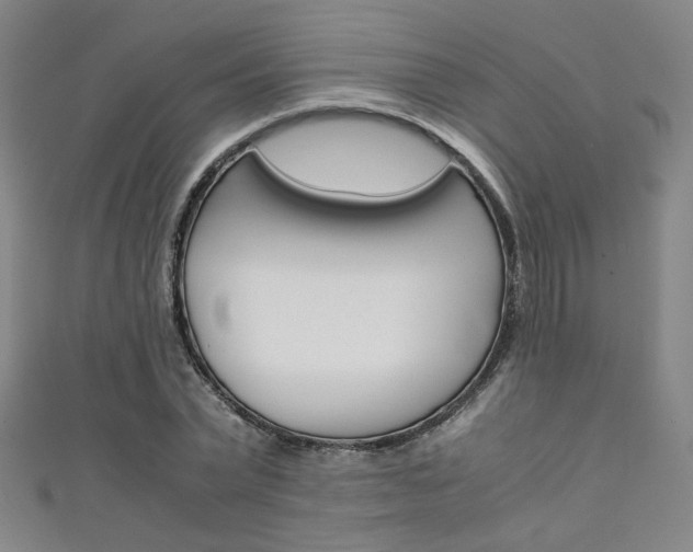 X0000111350783200907100934