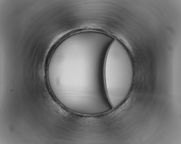 X0000111350784200907100934