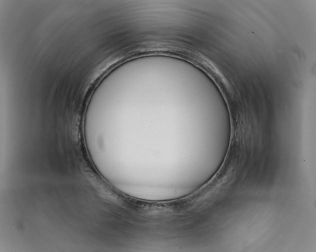 X0000111350786200907100934