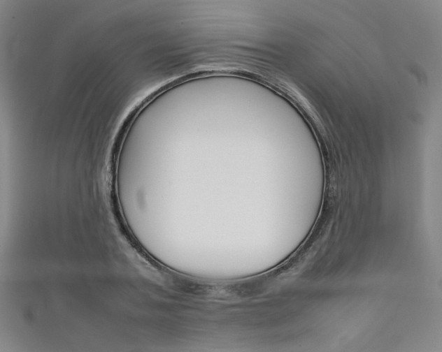 X0000111350787200907100934