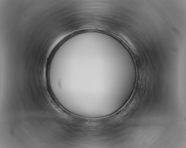 X0000111350788200907100934