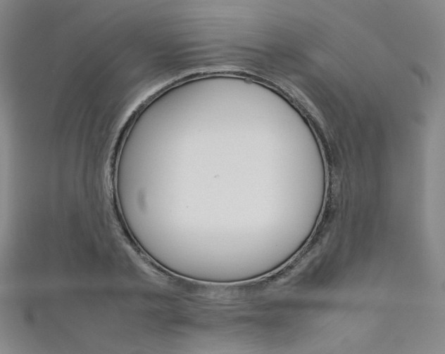 X0000111350789200907100934