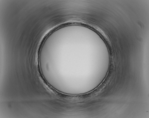 X0000111350791200907100934