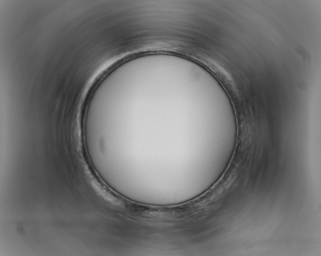 X0000111350792200907100934