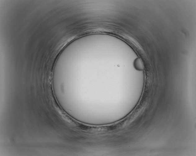 X0000111350793200907100934
