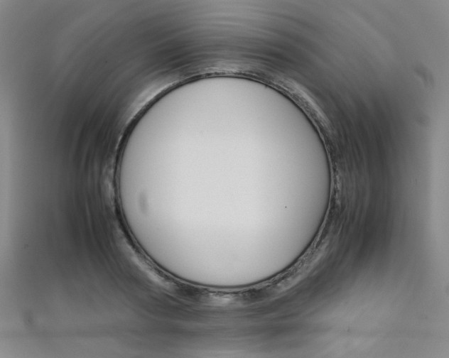 X0000111350794200907100934