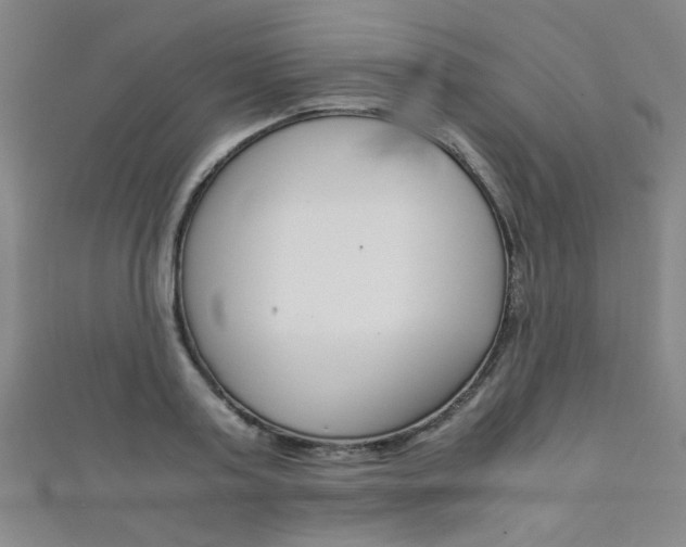 X0000111350795200907100934