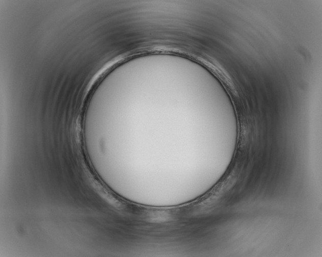 X0000111350798200907100934