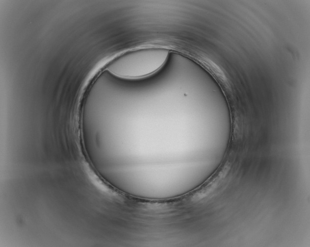 X0000111350800200907100934