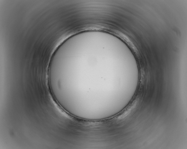 X0000111350802200907100934