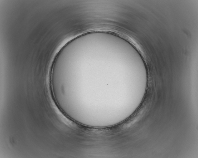 X0000111350803200907100934