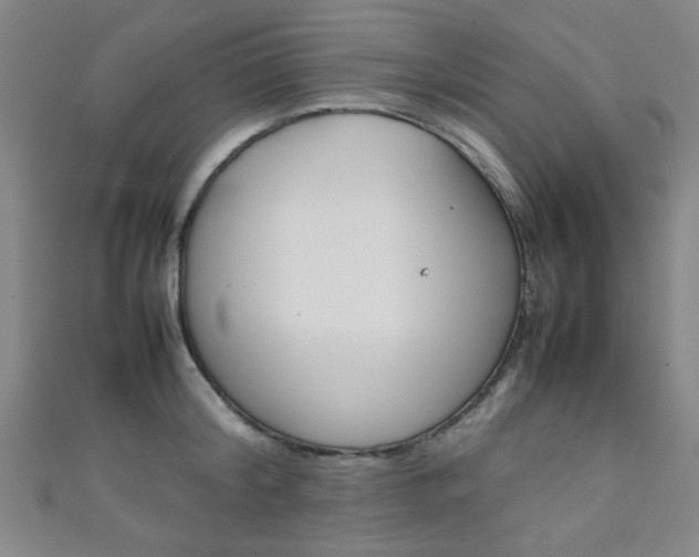 X0000111350804200907100934