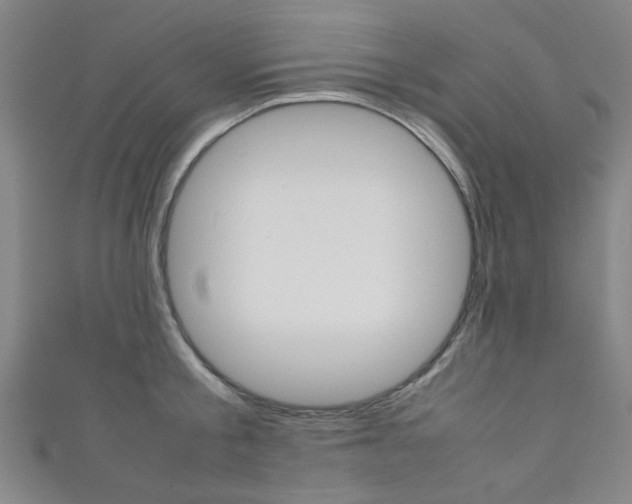 X0000111350805200907100934
