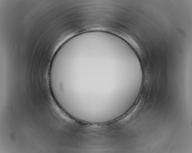 X0000111350806200907100934