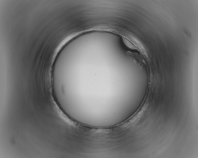X0000111350808200907100934