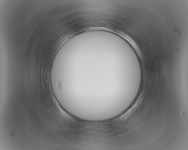 X0000111350809200907100934
