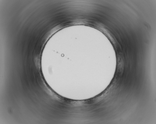 X0000111350810200907100934